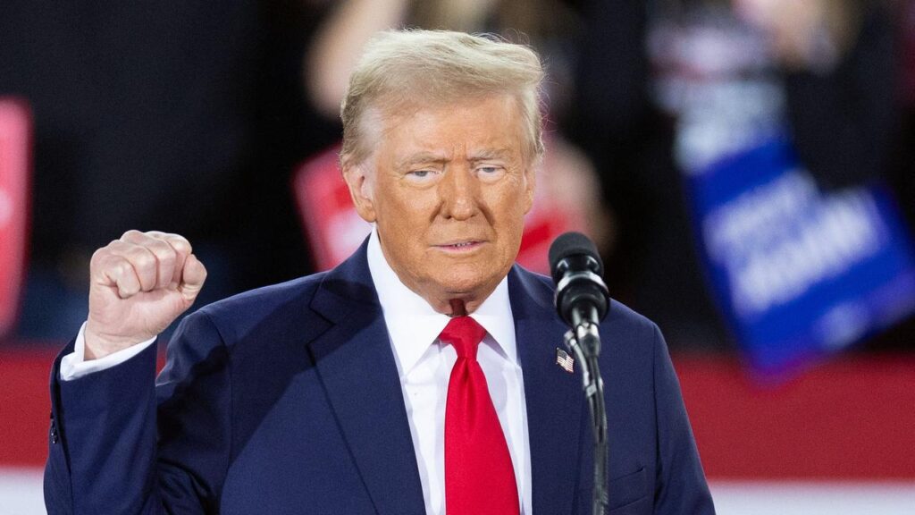 Donald Trump wins US presidential election