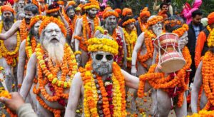 maha-kumbh-mela_large_1255_21