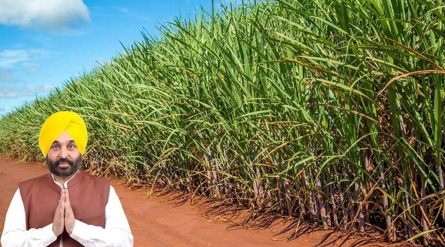 punjab-ganna-kisan