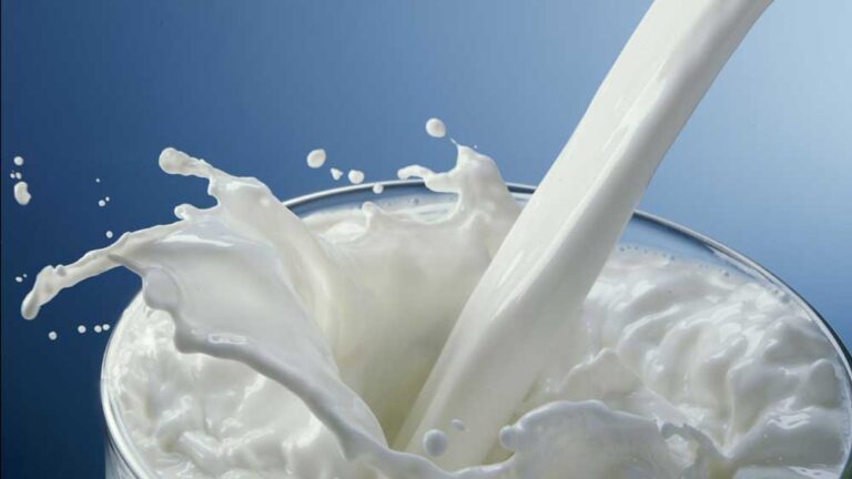 mp-milk-product-license-monitoring